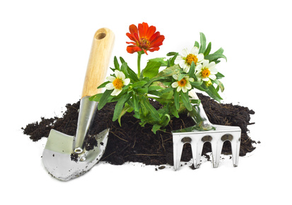 Services pour le jardinage